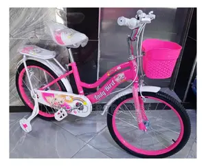 Bike Size 20 Lady Bird Bikes` 