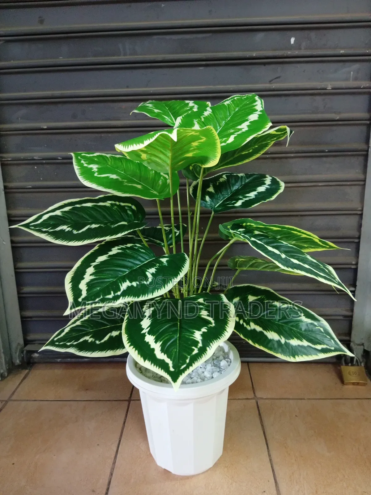 Artificial Flower/Decor Flowers Height 80cm