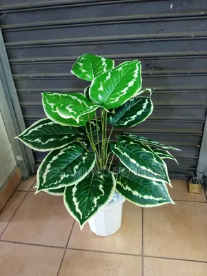 Artificial Flower/Decor Flowers Height 80cm
