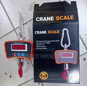 500kgs Digital Weighing Scale 500kgs Crane Scale