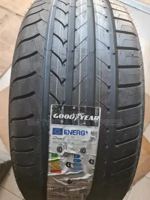 245 /45 R18 Goodyear (Germany)