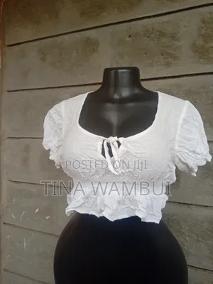 Thrifted Crop Tops