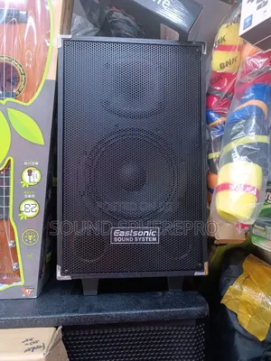 Eastsonic 8 Inch Rechargable Speaker With A Microphone