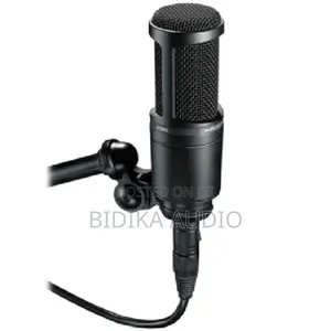 Audio-Technica At2020 Condenser Microphone