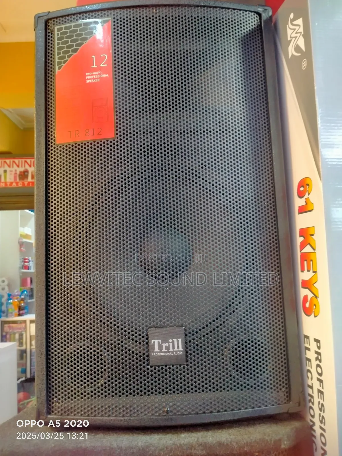 Professional Audio Speaker
