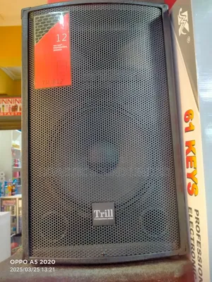 Professional Audio Speaker