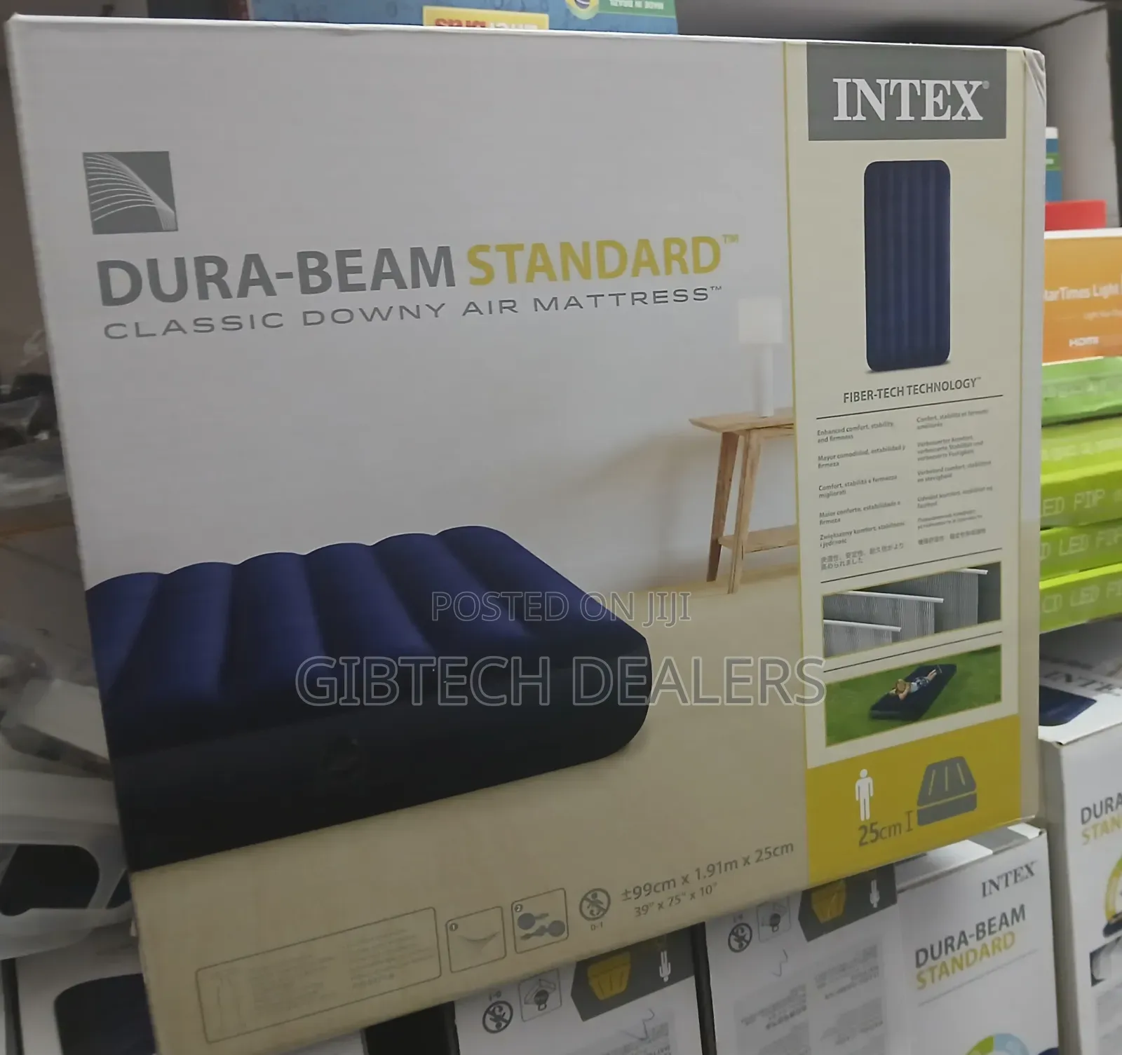 3 by 6 Intex Inflatable Mattress