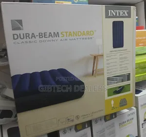 3 by 6 Intex Inflatable Mattress