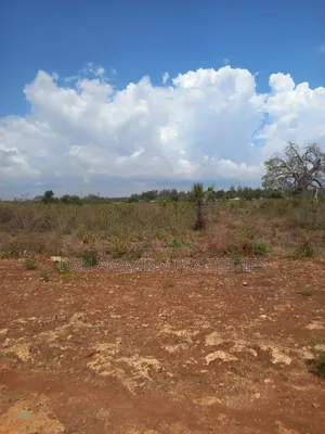 1/4 Acre Msa Vipingo for Sale Touching 2 Service Roads