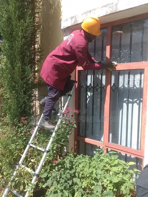 Emergency and General House Cleaning Pest Services
