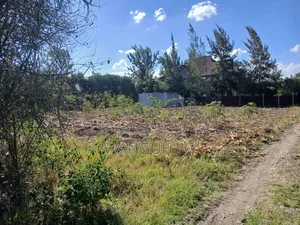 Residential Plot 125 X 100 Feet