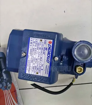 Pkm60 Pedrollo Water Pump Machine/ Pedrollo Booster Pump 40m