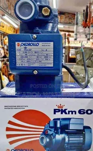 Pkm60 Pedrollo Water Pump/ Electric Pedrollo Booster Pump