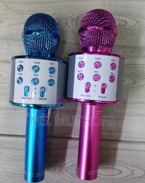 Kids Karoeke Microphones Available