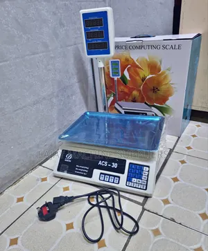 Digital Weighing Scale 30kg With Pole