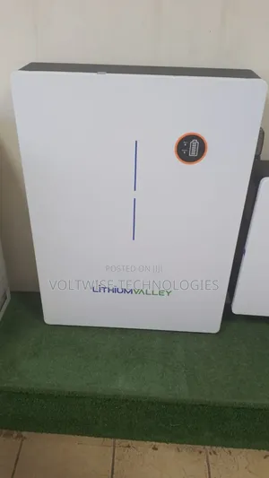 Lithium Valley 48v 200ah 10kwh Battery