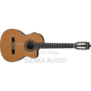 Quality Ibanez 6 Strings Guitar