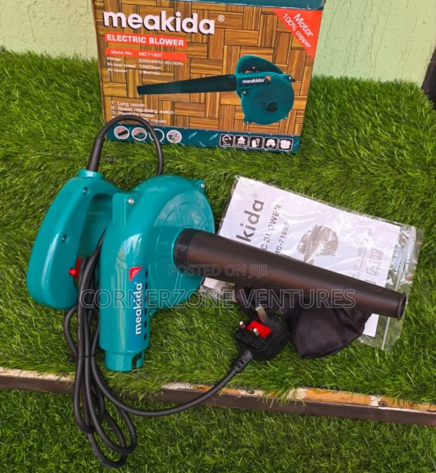 Blower, Electric Blower