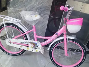 Light Pink - Size 20" Girls MTB With Wheels (Bicycle)