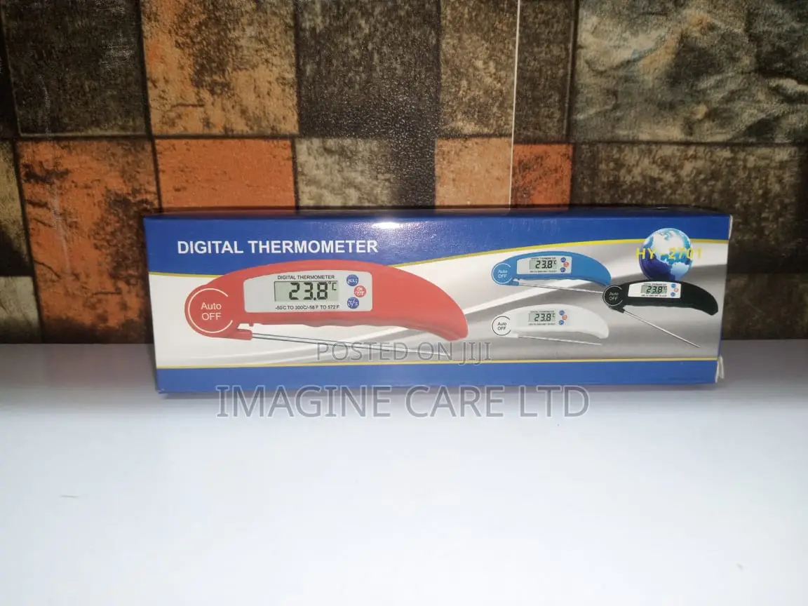Digital Thermometer