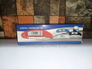 Digital Thermometer