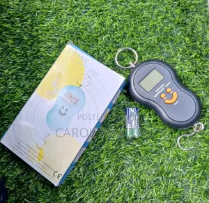 50kgs Weighing Scale/ Digital Weighing Scale Machine