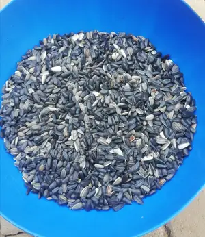 Sunflower Seeds (Black)