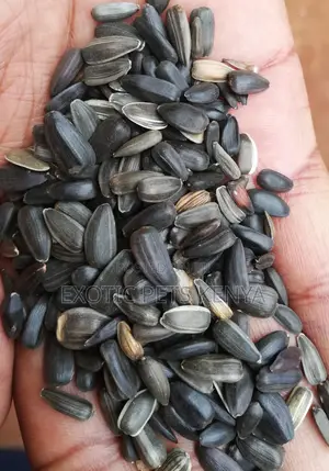 Sunflower Seeds (Black)