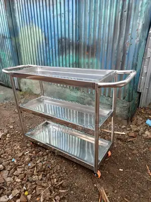Trolleys Movable Stainless Steel