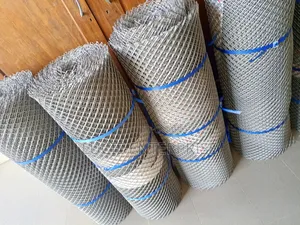Chicken Plastic Wire Mesh