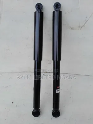 Toyota Passo Rear Shock Absorbers