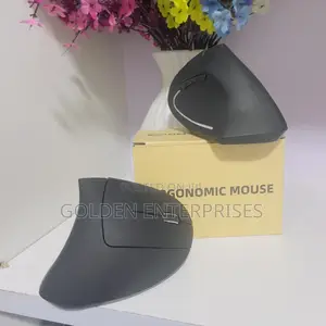 New Design Quality Silent Ergonomic 2.4ghz Wireless Mouse