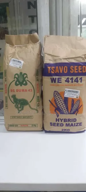 Quality Maize Seeds
