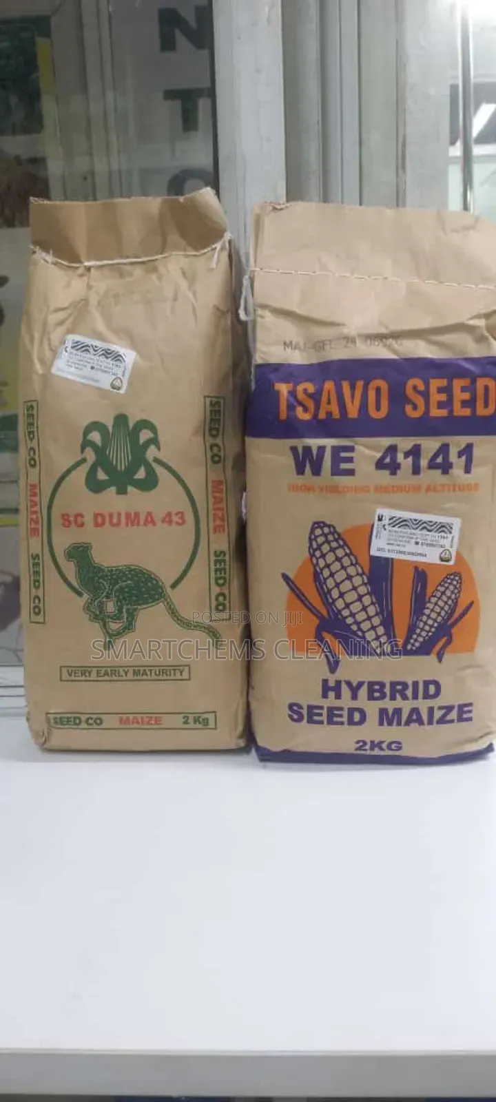 Quality Maize Seeds