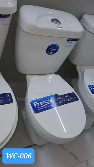 Pink Toilet Seat