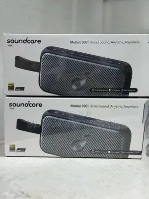 Soundcore Motion 300