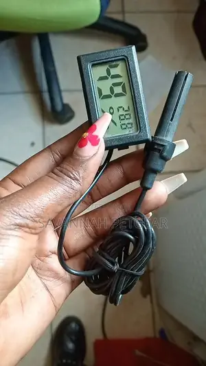 Digital Embedded Thermometer Hygrometer With External Probe