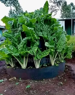 Multi Storey Garden 6 Layered Circular Gardens