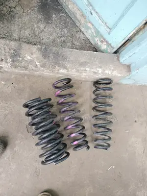 Nissan Fuga Heavy Duty Springs