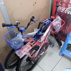 Premier Size 20' Bicycle