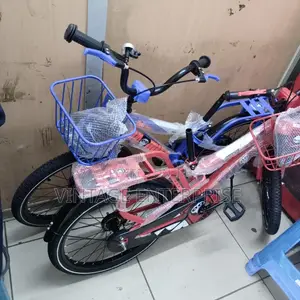 Premier Bicycle Size 20"