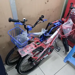Premier Size 20" Bike