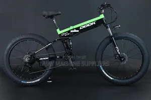 Electric Bike 7 Speed 48v 500w