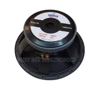 12 Inch Subwoofer Speaker