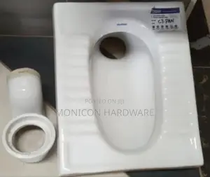 Step Asian Toilet + Shoshona Cistern