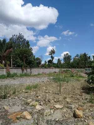 Prime Residential Plot , 1/2 Âcre, Second Row, Thome