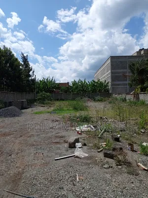 Prime Residential Plot , 1/2 Âcre, Second Row, Thome