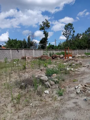 Prime Residential Plot , 1/2 Âcre, Second Row, Thome