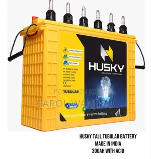 300ah Tall Tubular Battery / 300ah With Acid Tubular Battery