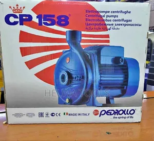 Electric Pedrollo Water Pump, 1 Hp